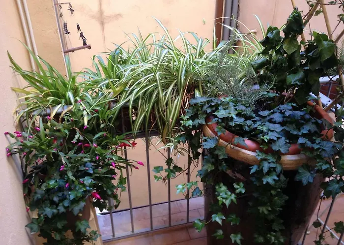 Oasis In The Heart Of Appartement *